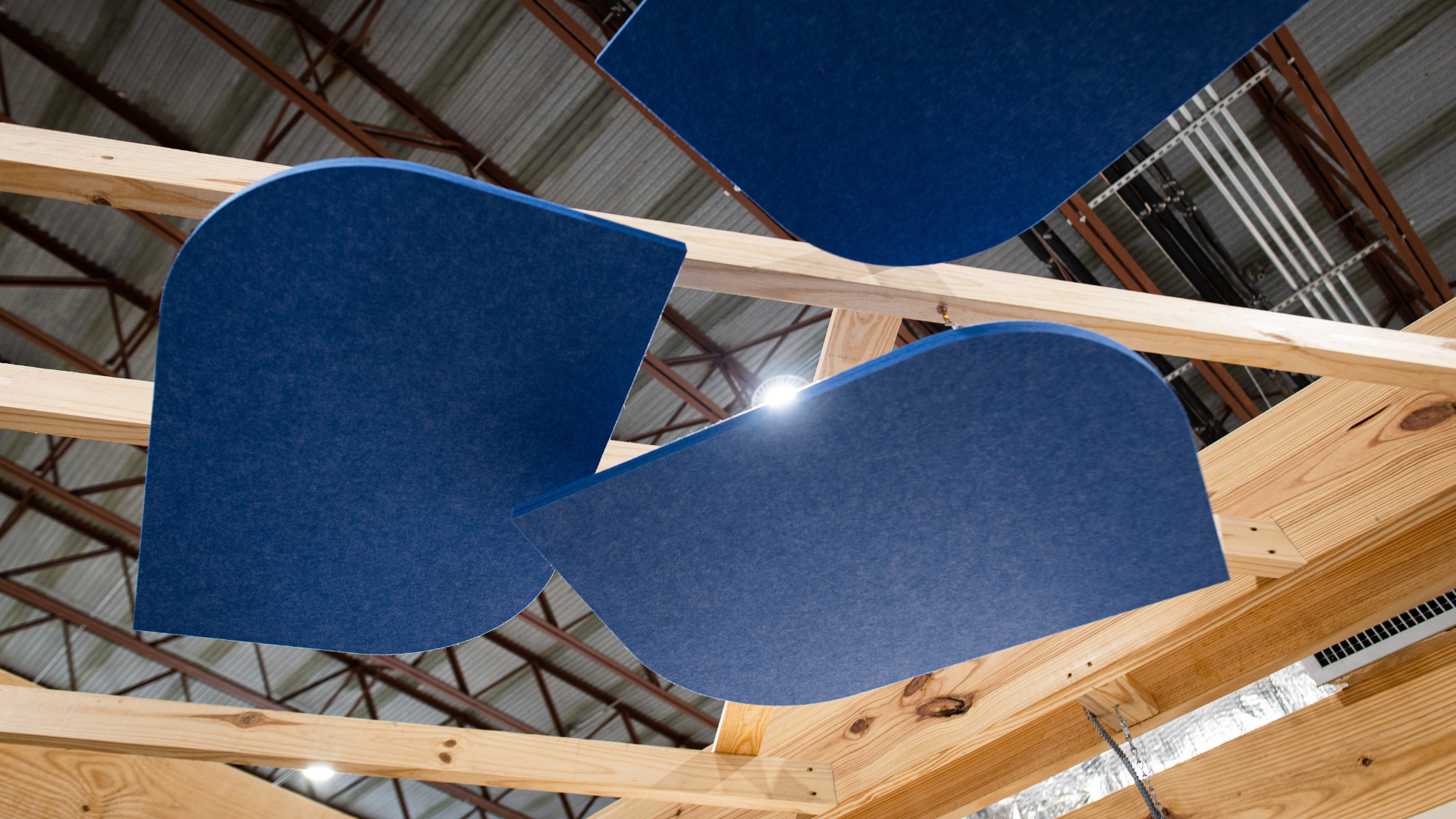 schoolmint new hq - blue ceiling leaves